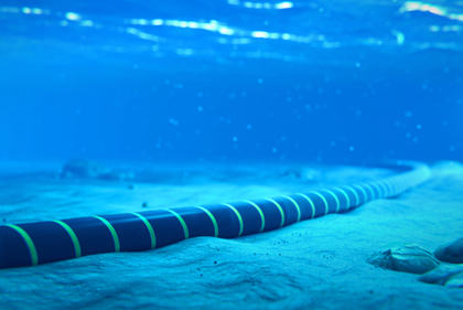 Dive into the depths of technology with submarine communications cables and underwater fiber optic cables! These vital connections link continents, enabling seamless global communication. Just as fish navigate their vibrant underwater world, these cables power our digital lives beneath the waves.
